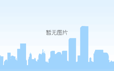 詹阳动力组织技术服务队奔赴深圳滑坡抢险救援现场